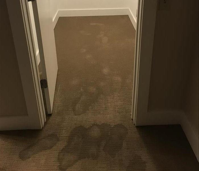 Carpet with wet footprints showing from standing water