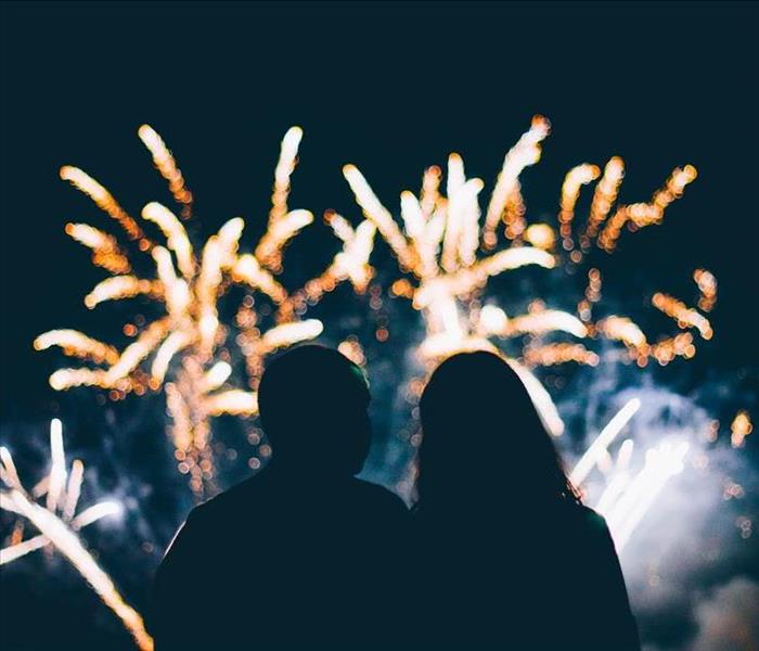 Couple Sitting together Enjoying the Firework Show