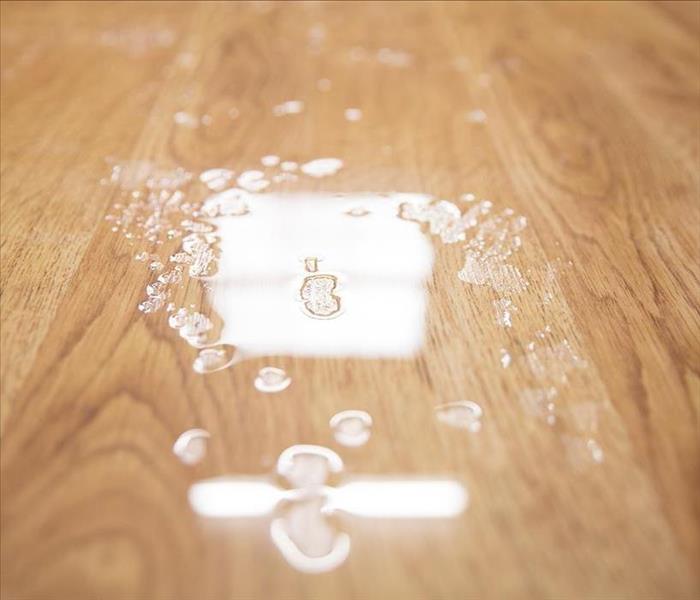 Water on Hardwood Floors